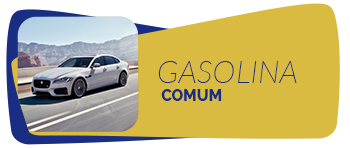 Gasolina Comum